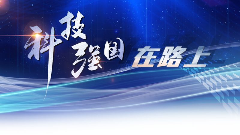信息化建设中的关键参数：数字化转型的核心考量**