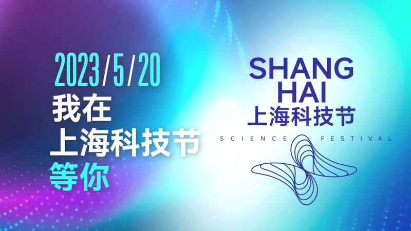 智能客服系统故障排查：常见问题与解决策略