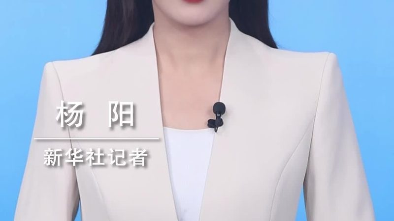 金融大数据分析：揭秘高效决策背后的秘密